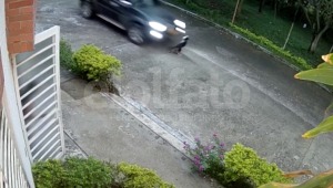 Vehículo que transitaba a alta velocidad, atropelló y mató a una mascota en Ibagué