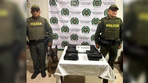 Perro antinarcóticos halló marihuana en una encomienda en Ibagué 