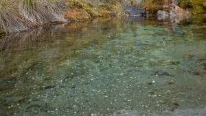 !Absurdo! Turistas lanzan monedas en lagunas del PNN para pedir deseos