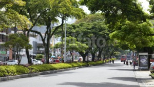 Cerrarán ambos carriles de la carrera Quinta durante las fiestas de junio