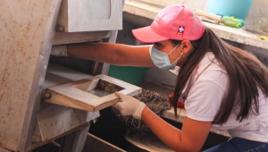 Encontraron cucarachas y ratones en restaurante de Ibagué: el establecimiento fue cerrado