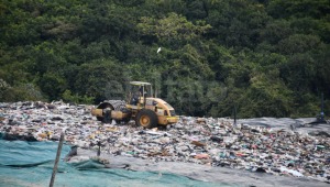 Ampliación de relleno sanitario La Miel afectará 1.500 especies arbóreas: concejal Zambrano