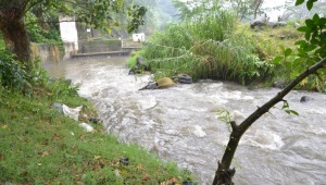 Reportaron varias emergencias en Ibagué por fuertes lluvias