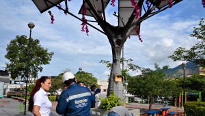 Realizan mantenimiento a los ‘árboles solares’ de Ibagué