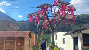 Por conectar un congelador quemaron el árbol solar de Juntas