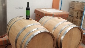 Los mejores vinos del país se preparan con uvas cosechadas en el Tolima