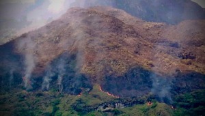 Incendio afectó 60 héctareas del cerro 'El Rusio', ubicado al oriente del Tolima 