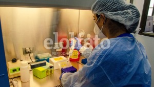  Disparados casos de COVID-19: el Tolima superó los 1.000 contagios diarios 